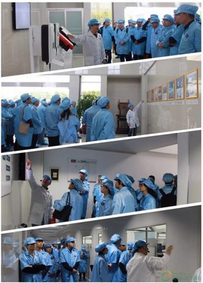 聚享綠色能源，共筑智能未來——SMA揚中工廠開放日活動圓滿落幕